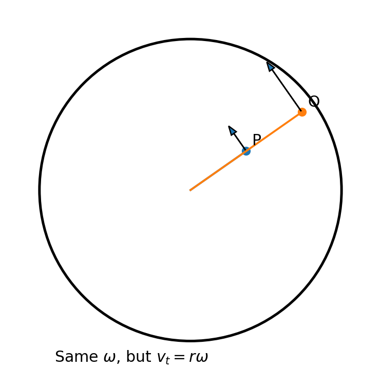 จุดสองจุดบน rigid disk มี angular velocity เดียวกัน แต่ tangential speed ต่างกัน